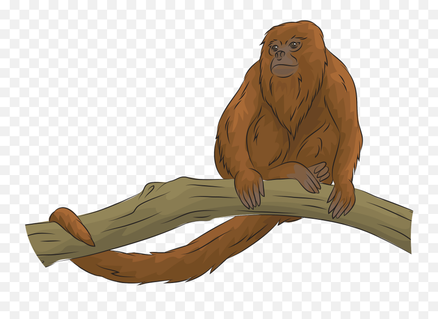 Howler Monkey Clipart Free Download Transparent Png - Howler Monkey Clipart Transparent,Monkey Transparent