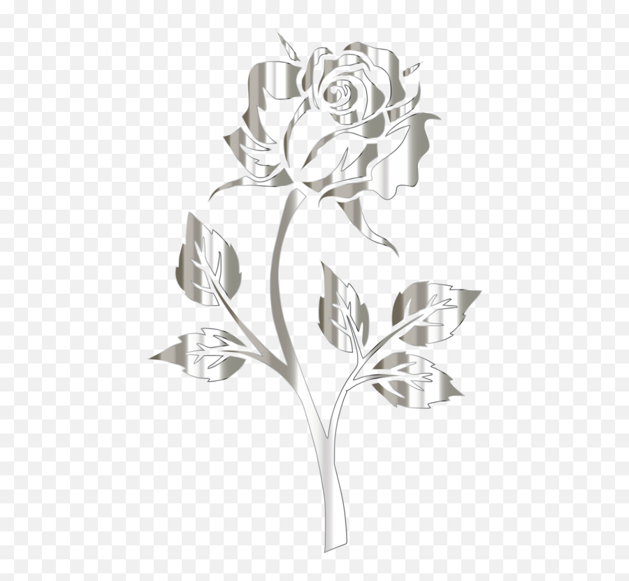 Plant Flora Rose Order Png Clipart - Silver Flower No Background,Black Roses Png