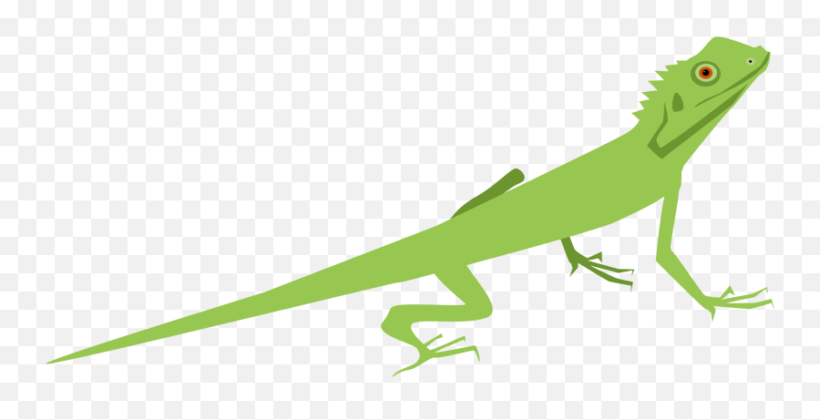 Cool Clipart Lizard - Lizard Clipart Png,Lizard Transparent
