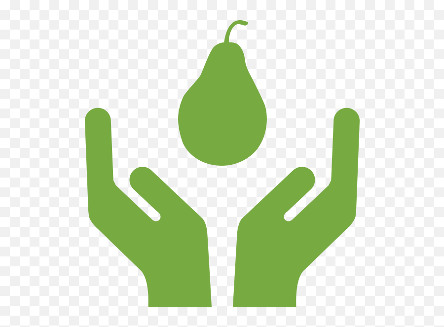 Choose Ripen And Store - Fresh Png,Handle With Care Icon