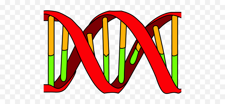 From Molecules To Populations Describing Diversity Using - Language Png,Dna Colorful Icon