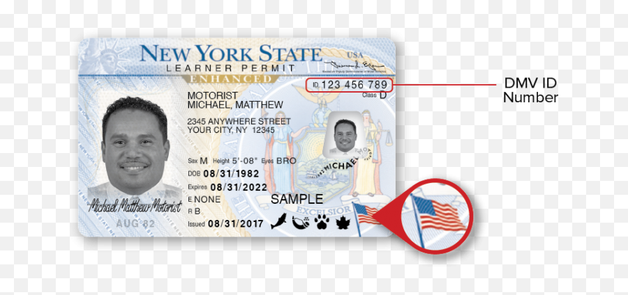 New York Dmv Sample Photo Documents - New York Drivers License Number Png,Dmv Icon