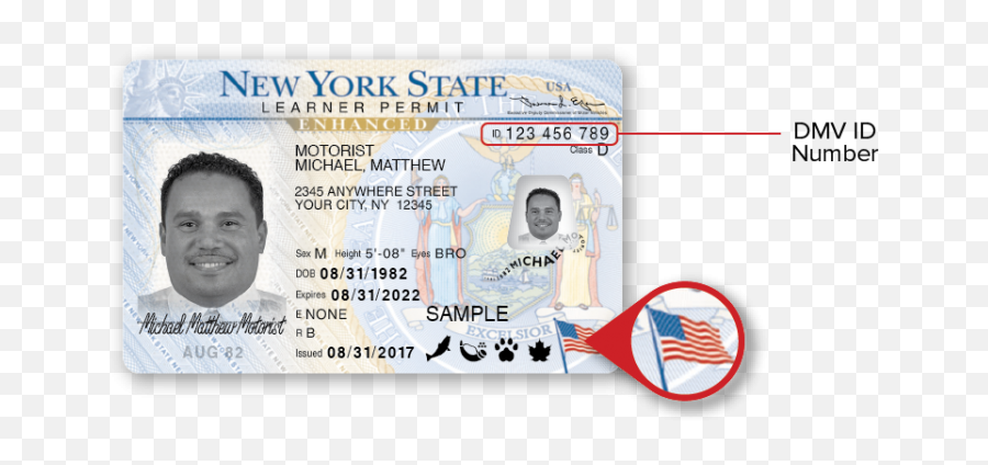 New York Dmv Sample Photo Documents - New York Drivers License Number ...