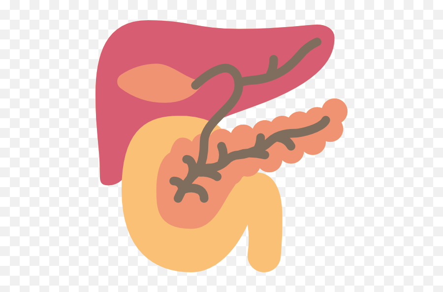 Pancreas - Pancreas Png,Pancreas Icon