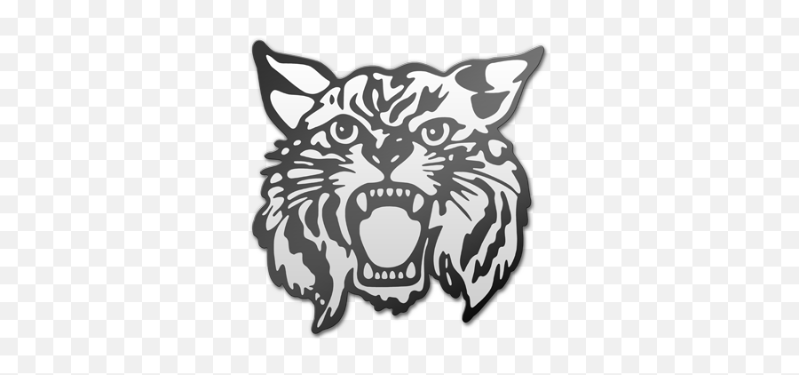 Wildcat Weekly - Shelby Junior High School Shelby Junior High Logo Png,Wildcat Icon