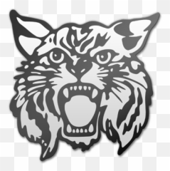 Wildcat Weekly - Shelby Junior High School Logo png