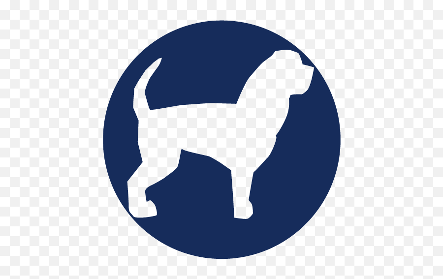 Working With The Right Dog Trainer U2013 Bauhound Haus Inc - Ancient Dog Breeds Png,Dog Head Icon
