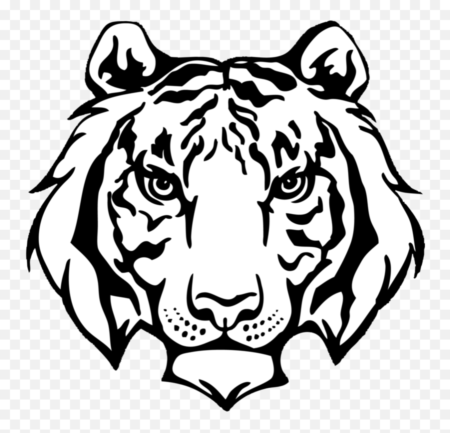 black tiger logo