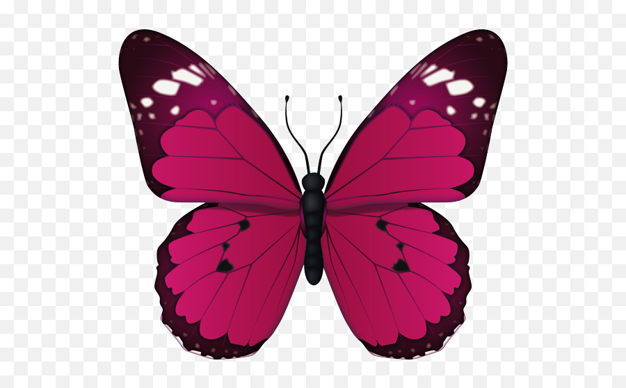 Emoji U2013 The Official Brand Pink And Purple Butterfly - Blue Butterfly Emoji Png,Purple Butterfly Png