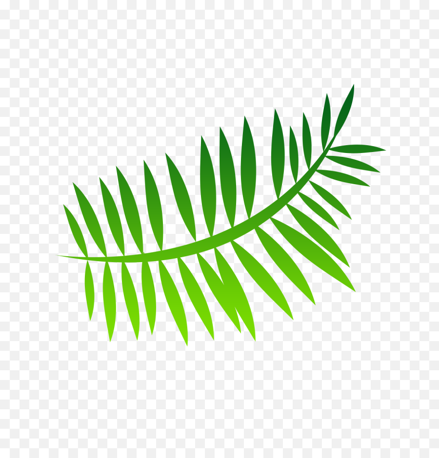Green Leaf Art Forest 2 Canvas - Transparent Background Fern Logo Png,Fern Png