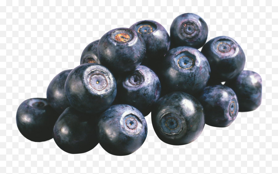 Blueberries - Difference Between A Blackcurrant And Blueberry Png,Blueberries Png