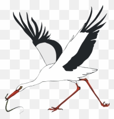 White Stork Water Bird Crane - Stork Png Download 1158 White Stork,Stork Png