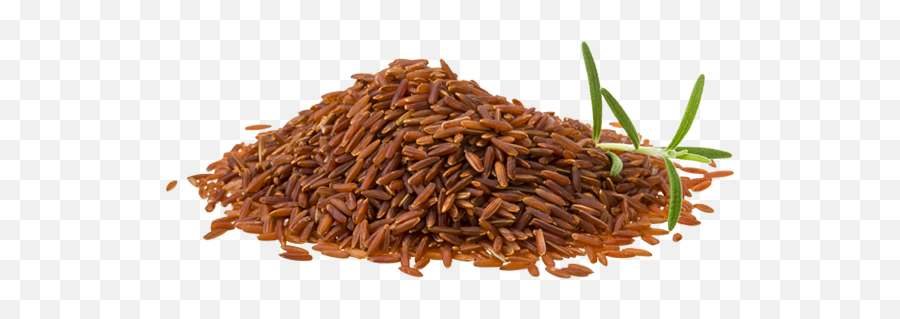 Lord Of Rice - Sprinkles Png,Rice Transparent