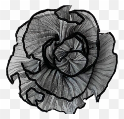Azalea Pleated Flower - Datura Inoxia Png,Azalea Png