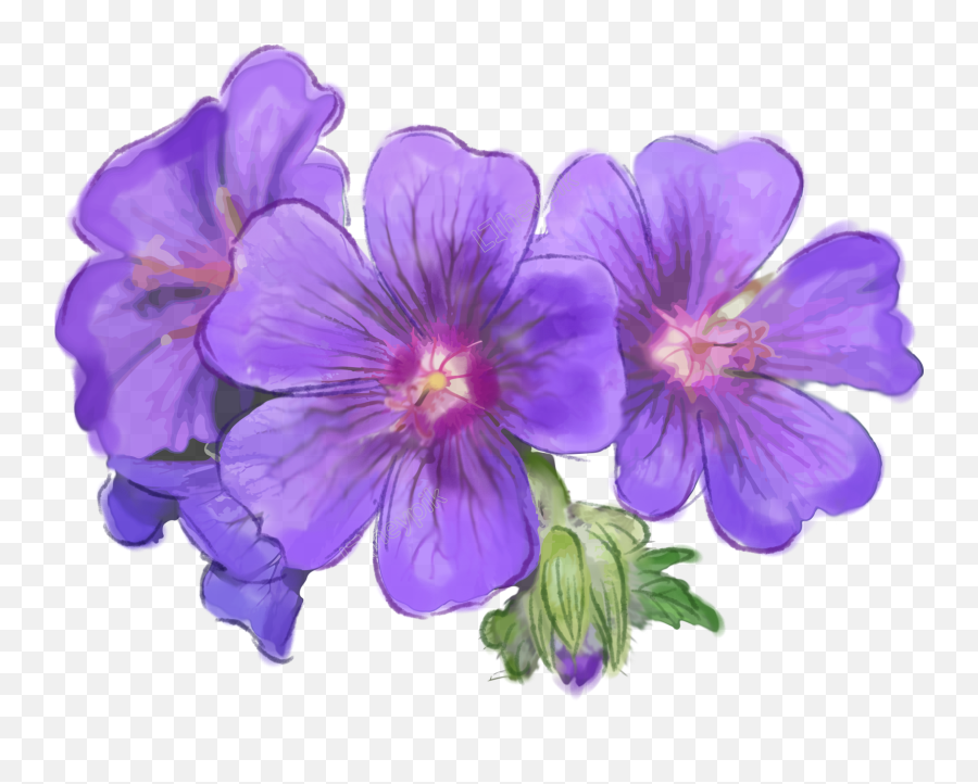 Purple Flowers Download - Monte Png,Violets Png