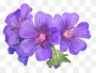 Purple Flowers Download - Monte Png,Violets Png