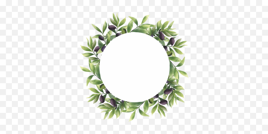 Olive Leaf Frame In A Watercolor Style - Download Free Olive Leaf Vector Png,Watercolor Circle Png