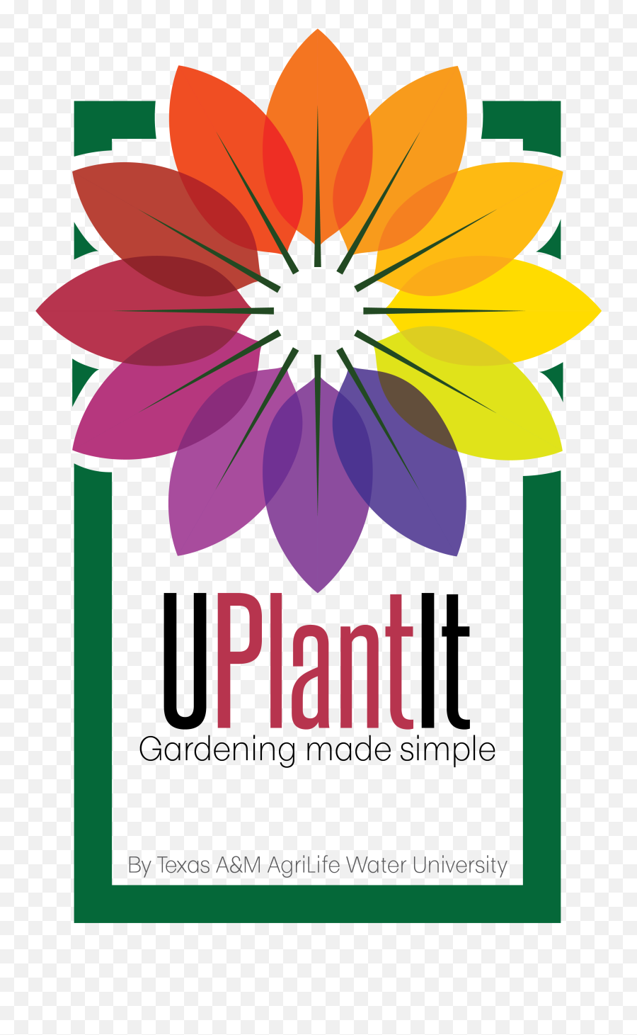 Uplantit Gardening Made Simple Water University Texas - African Daisy Png,Gardening Png