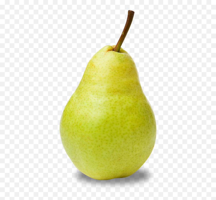Lapierre U2013 Our Organically Grown Pears - Pear With White Background Png,Pears Png