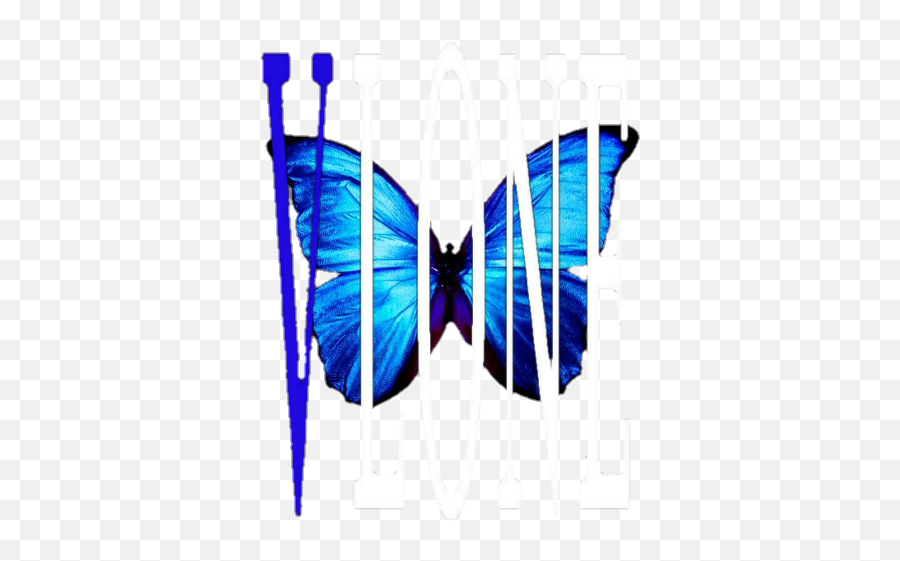 Vlone Butterfly - Album On Imgur Papilio Machaon Png,Vlone Png