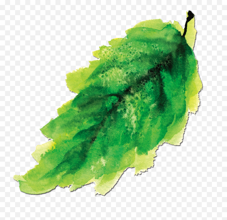 Ink Painting Watercolor Green Leaves - Watercolor Painting Png,Green Watercolor Png