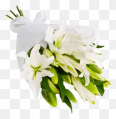 White - Bunch Of Lilies Png,White Lily Png