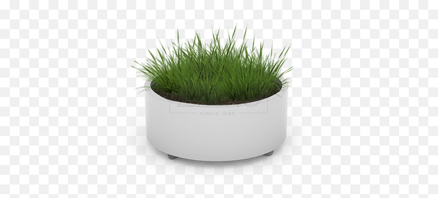 Planters - Sweet Grass Png,Planters Png