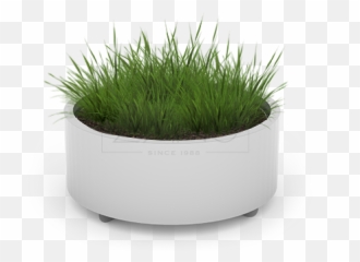 Planters - Sweet Grass Png,Planters Png