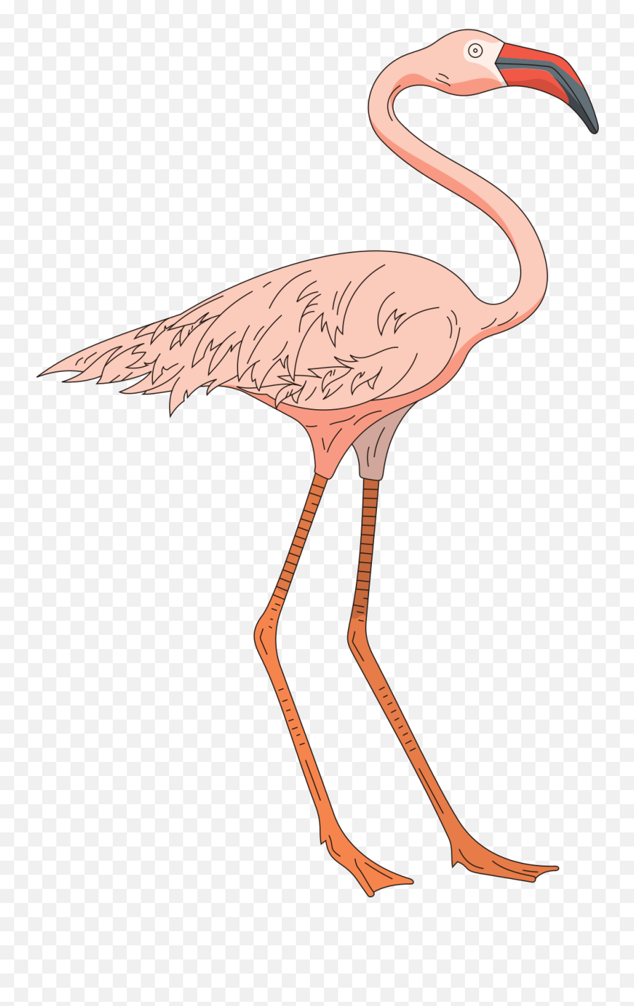 Standing Pink Flamingo Svg Vector - Flamingo Long Legs Clipart Png,Flamingo Clipart Png