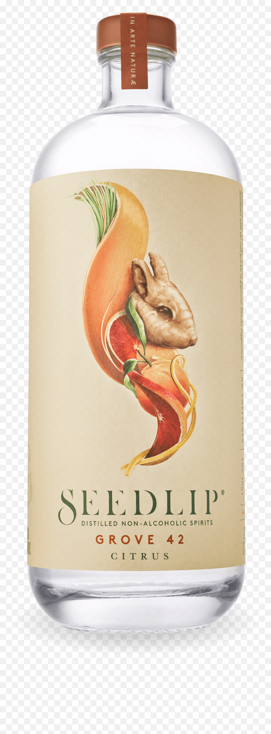 Seedlip Drinks - Seedlip Grove 42 Citrus Png,Citrus Png
