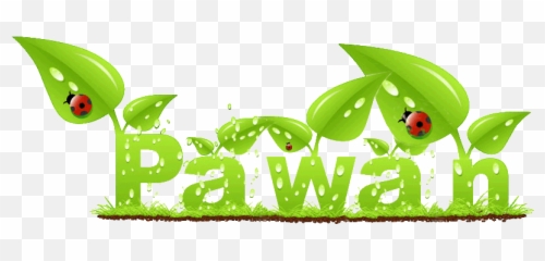 Css Flash And Pulse Effects - Pawan Logo png