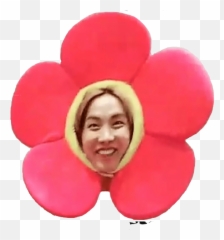 Download Jhope Flower Bts Jhopebts - Stickers De Hope png