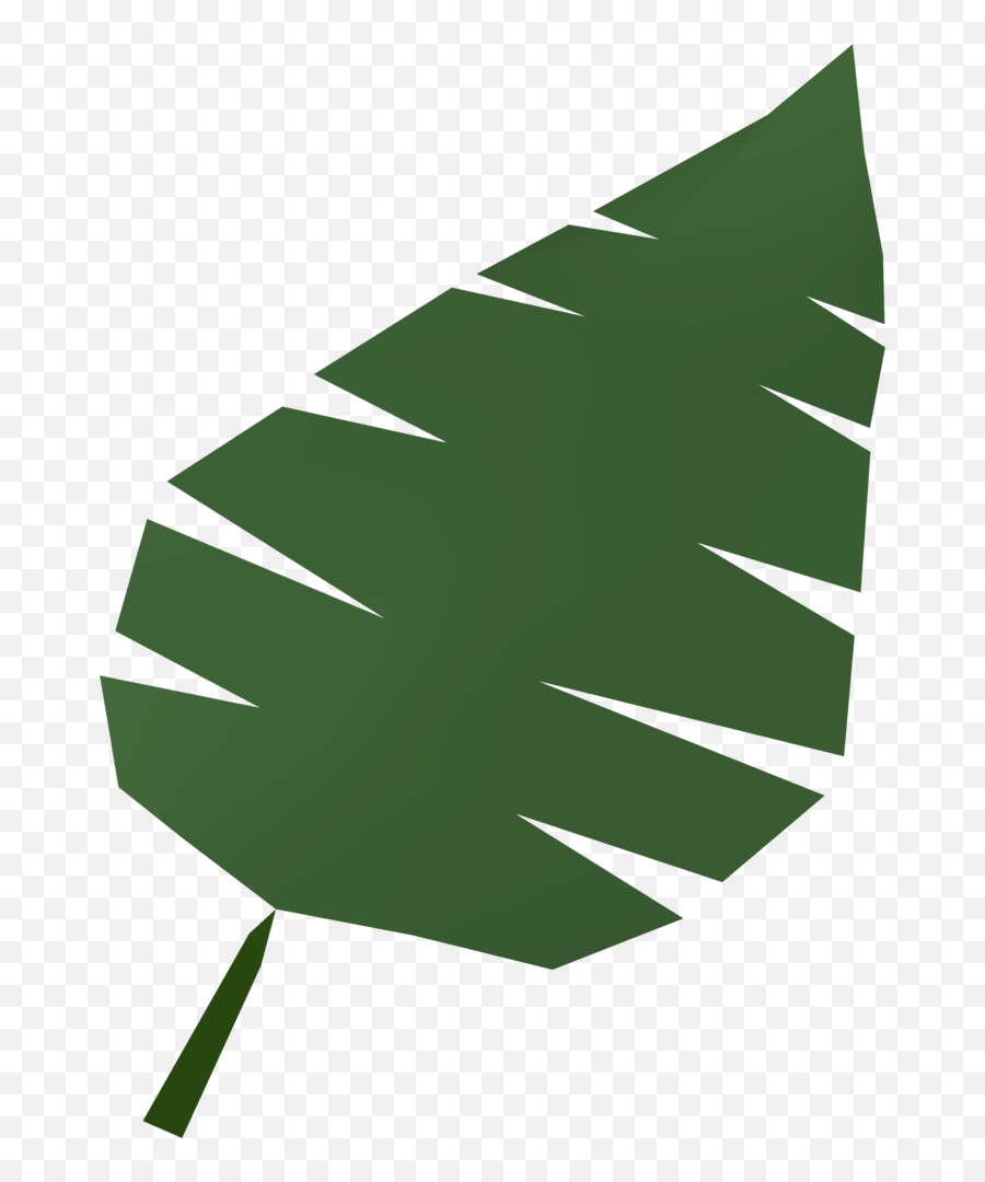 Palm Leaf - Osrs Wiki Parlm Leaf Png,Palm Tree Leaves Png