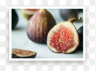 Fresh Figs U2013 Wonderful Taste - Common Fig Png,Fig Png