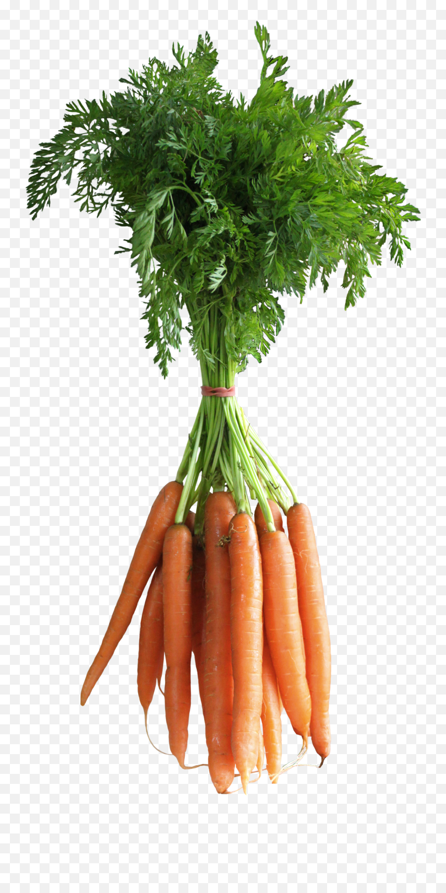 Download Carrots Png Clipart Picture Fruits And Vegetables - Carrot Leaves Png Transparent,Vegetables Transparent Background