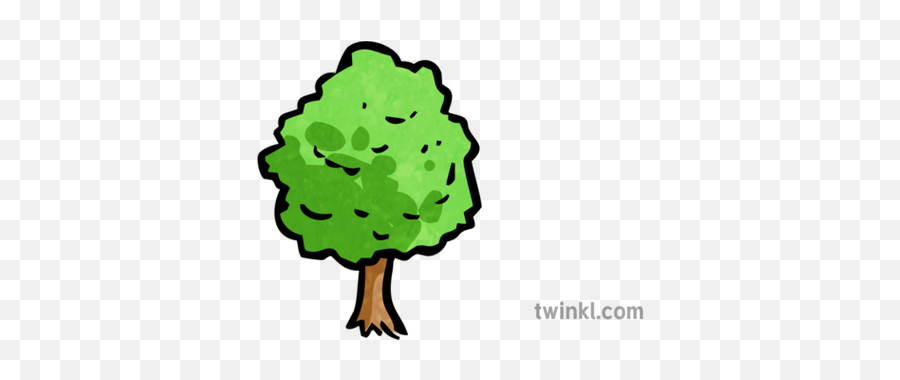 Tree Map Icon 1 Illustration - Twinkl Icon Baum Png,Map Icon Png