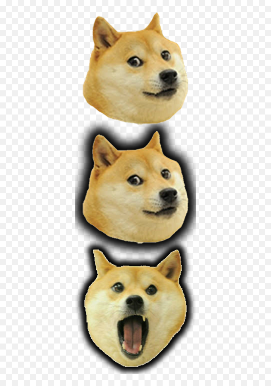 Doge Start Button For Windows - Classic Shell Start Button Skins Png,Windows Start Button Png