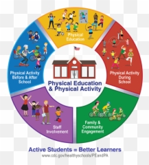 Physical Education And Activity - School png