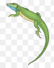 Download - Transparent Background Lizard Clipart png