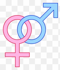 Kinky Boots As A Cultural Icon By Wolcottm1 - Male And Female Gender Symbol Png,Kinky Icon
