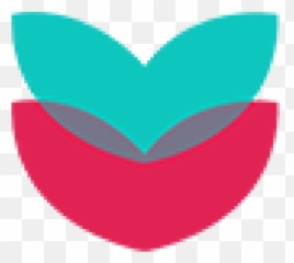 Services - Paramount Care Girly png