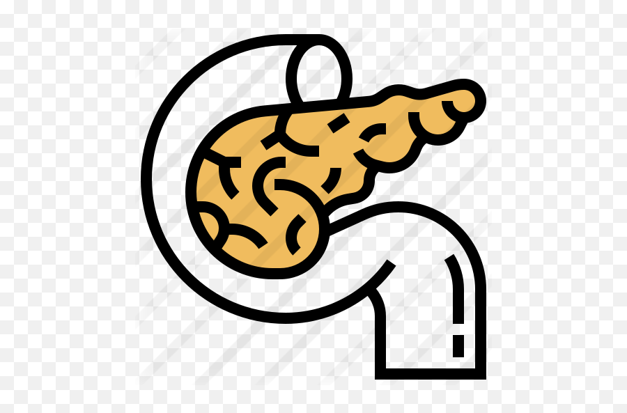 Pancreas - Pancreas Icon Png,Pancreas Icon