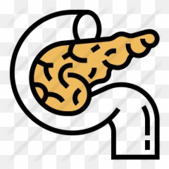Pancreas - Icon png