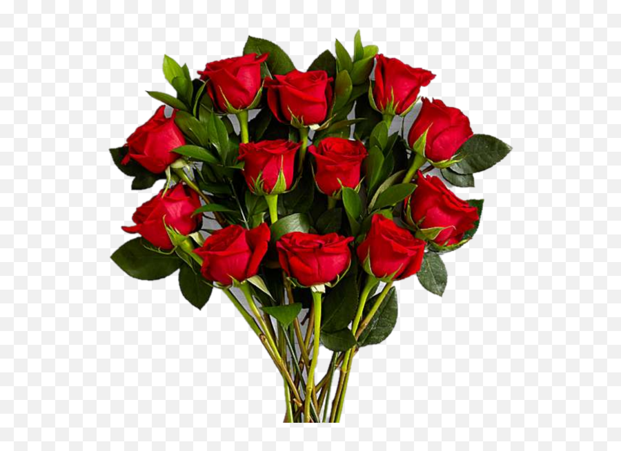 Long Stem Red Rose Bouquet Last - Men Think Women Want What Women Really Want Png,Red Rose Transparent