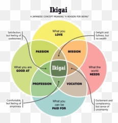 I Am 25 Years Old And Feel Like Have Wasted My Life - Ikigai Diagram Png,Icon For Hire Cynics And Critics Mp3