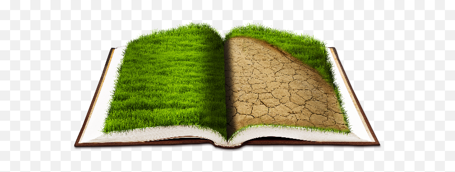 Nature Grass And Foliage Textures - Transparent Open Book Background Png,Dead Grass Png