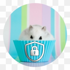 Hamster Lock Screen Hd Apk 10 - Download latest version Wallpaper 4k png