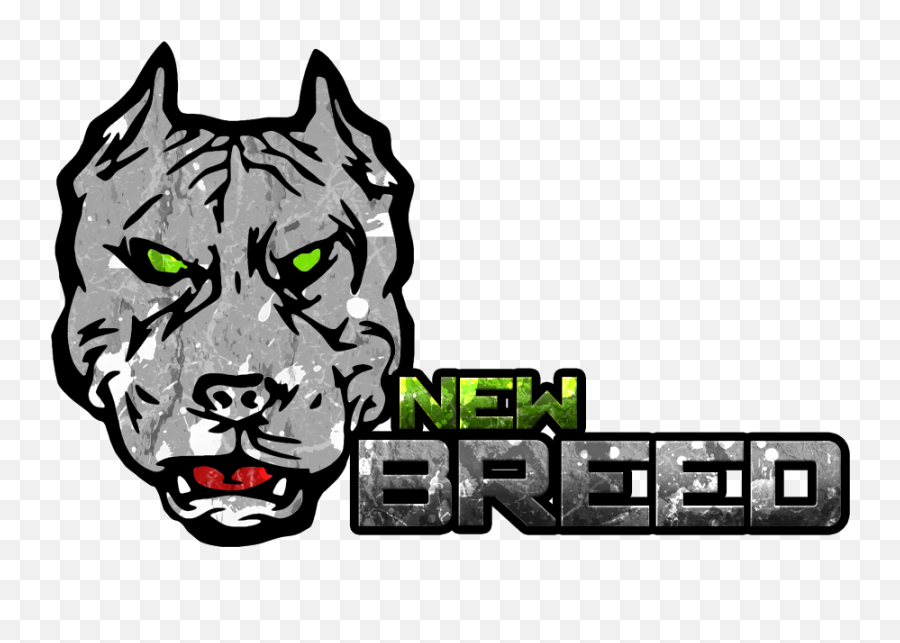 New Breed Stunt Parts Crash Cages Las Vegas - Motorcycle Stunt Riding Png,Pit Bull Icon