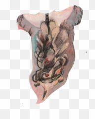 Sketchbook U2014 Grace Milk - Tattoo Png,Torso Png
