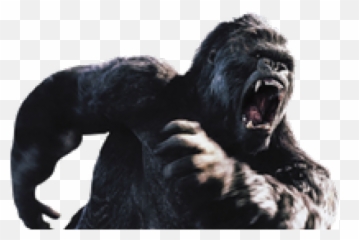 Hd Godzilla Vs King Kong Png - King Kong Png Hd,Kong Png